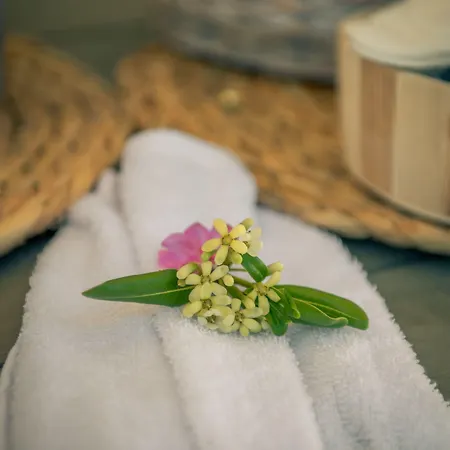 Villa Artina Luxury Keri