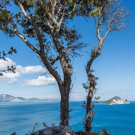 Βίλα Artina Luxury Κερί